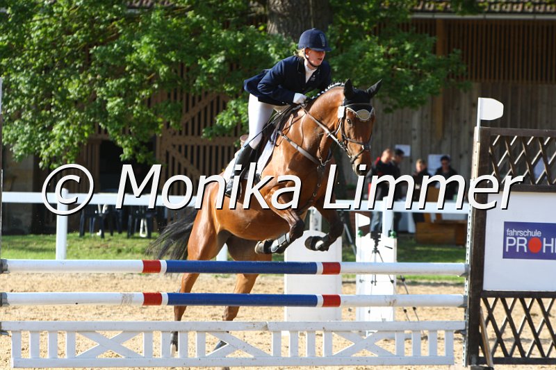 006M6258_Rana_Springpferde A.JPG